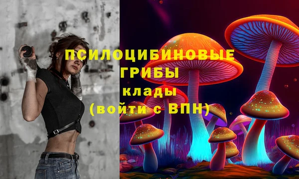 ешки Покачи