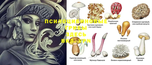 кокаин Пестово