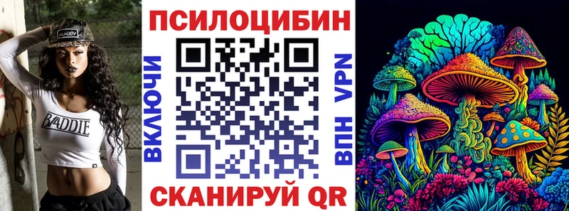 Галлюциногенные грибы Psilocybine cubensis  Подольск 