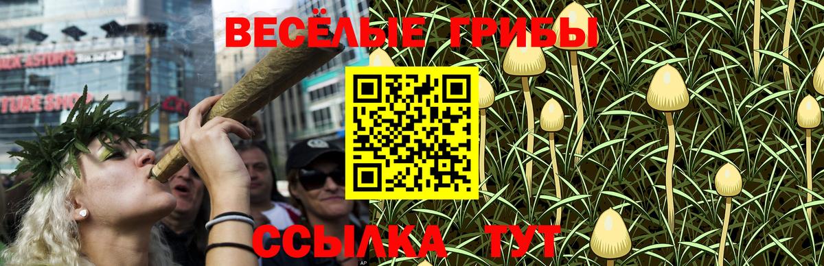 Псилоцибиновые грибы GOLDEN TEACHER  Галлюциногенные грибы прущие грибы  Подольск 