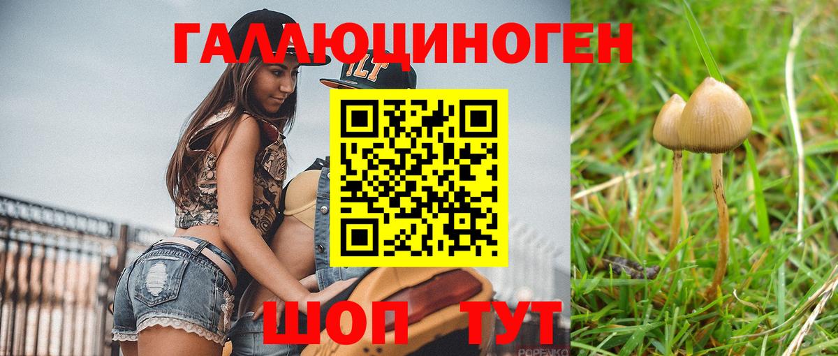 Псилоцибиновые грибы мицелий Подольск