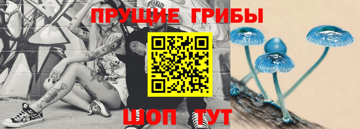 Псилоцибиновые грибы MAGIC MUSHROOMS Подольск